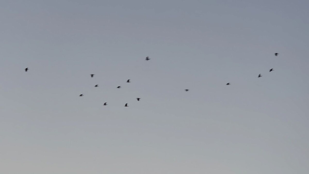    Фото: телеканал «Краснодар»