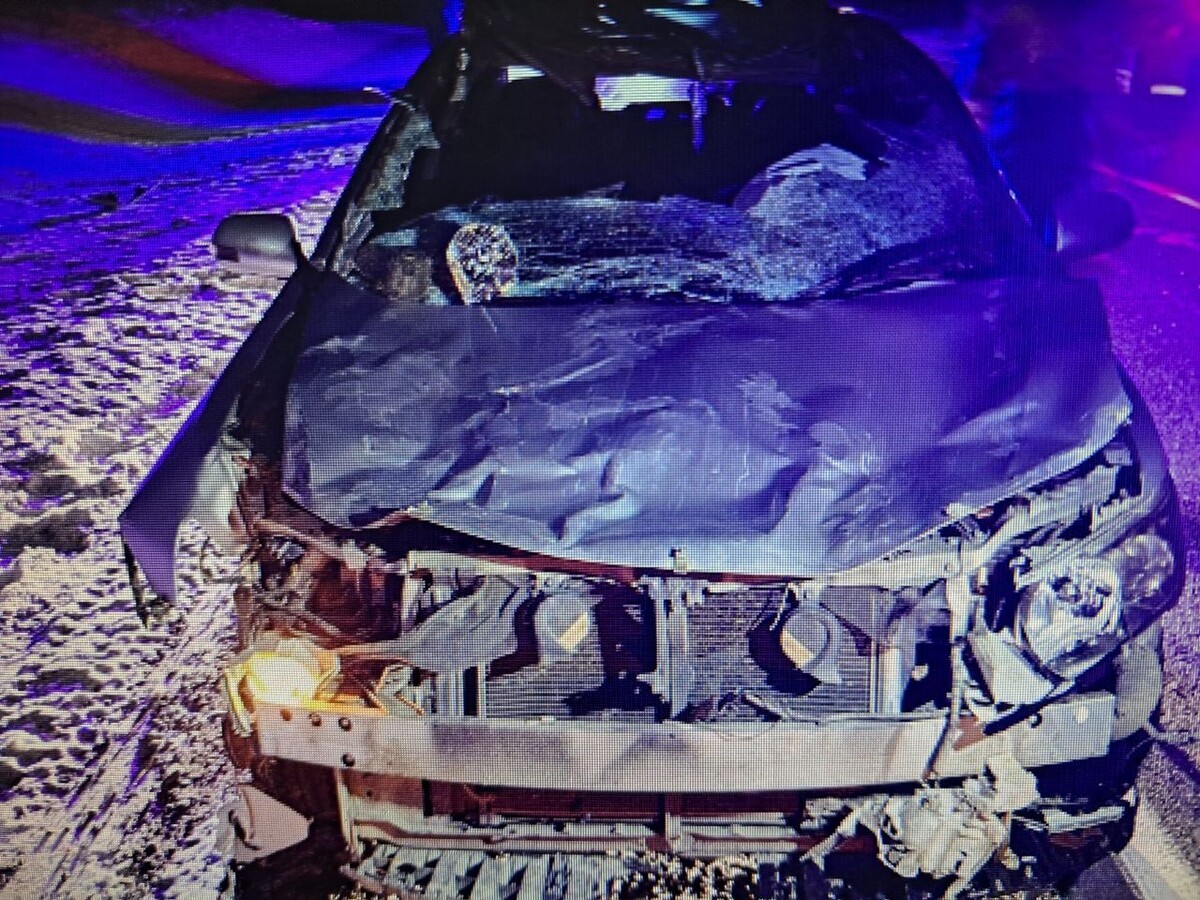    Фото: Госавтоинспекция Забайкалья