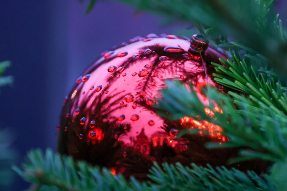    Наталья Шатохина/NEWS.ru