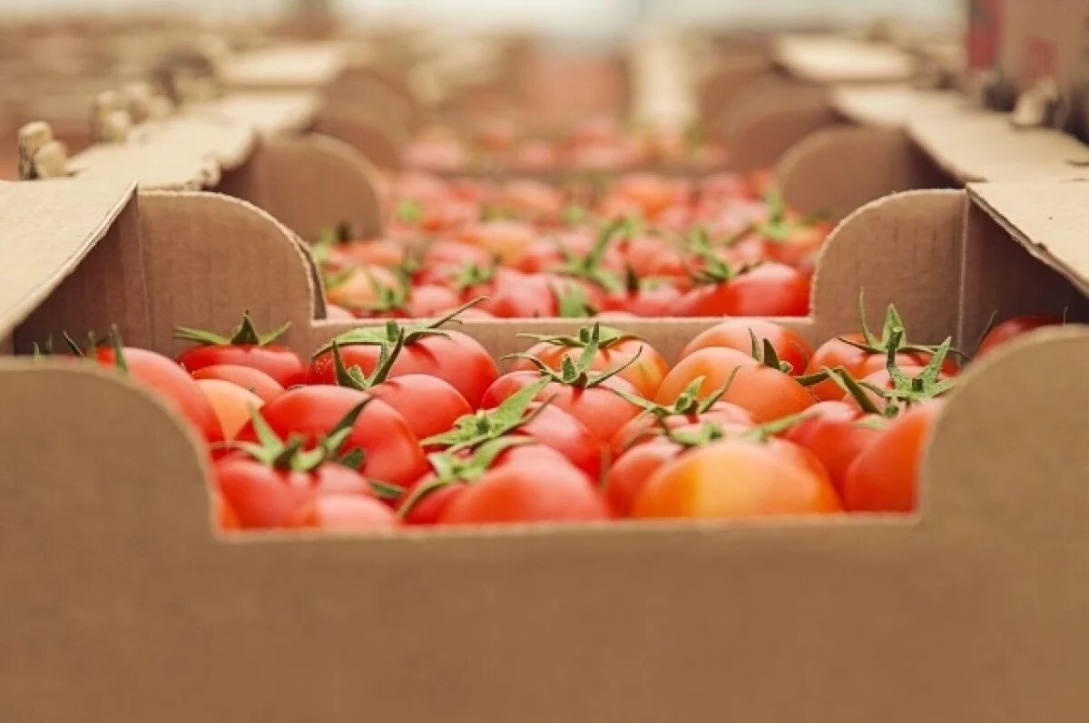    Россельхознадзор не пустил в Алтайский край 7 тыс. цветов и 110 тонн овощей