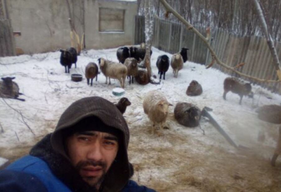 Иллюстрация из открытых источников