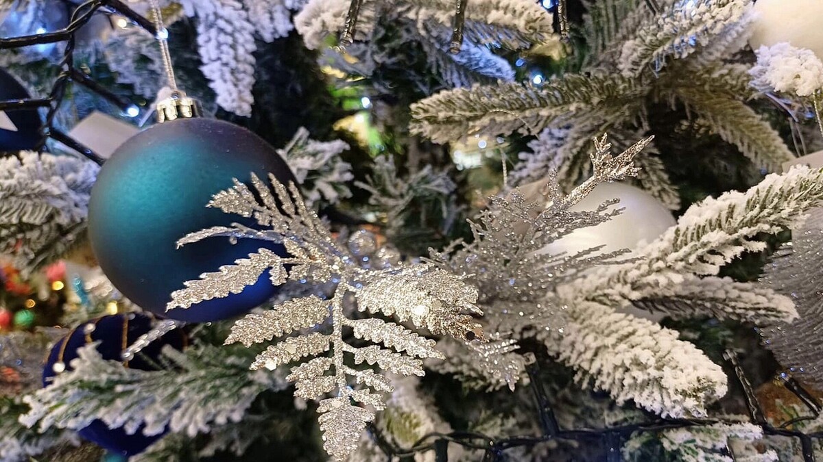     Источник: kubanpress.ru