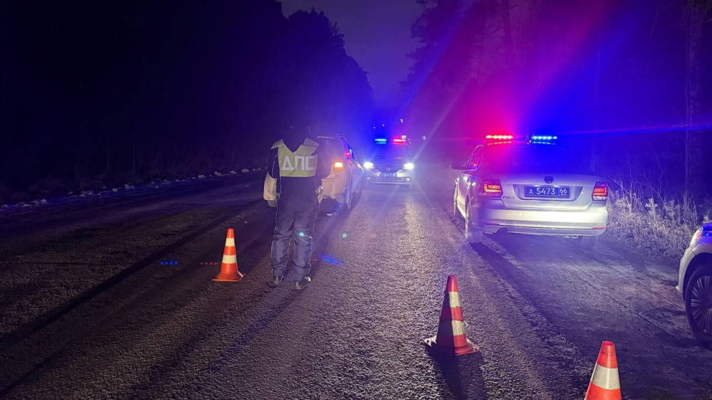     Фото: ГИБДД Свердловской области