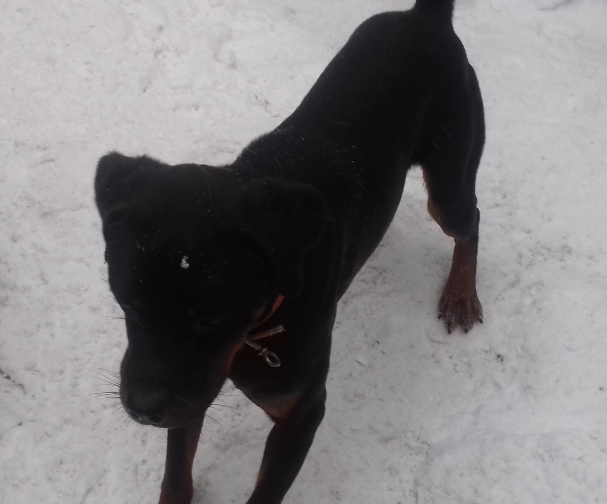 фото из личного архива