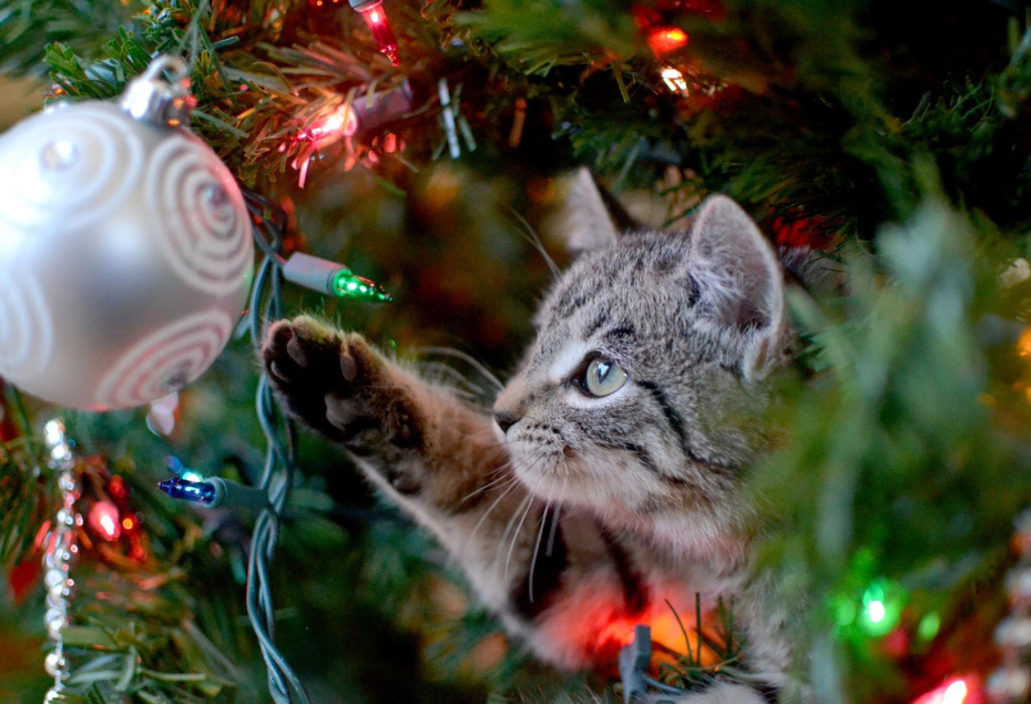    Shutterstock/FOTODOM