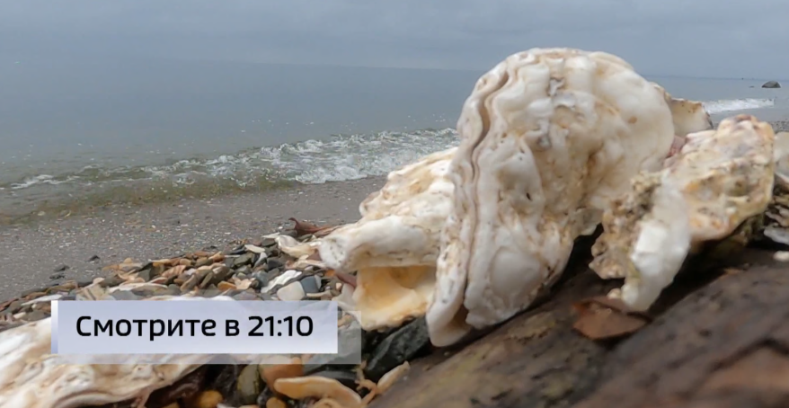    Источник фото: