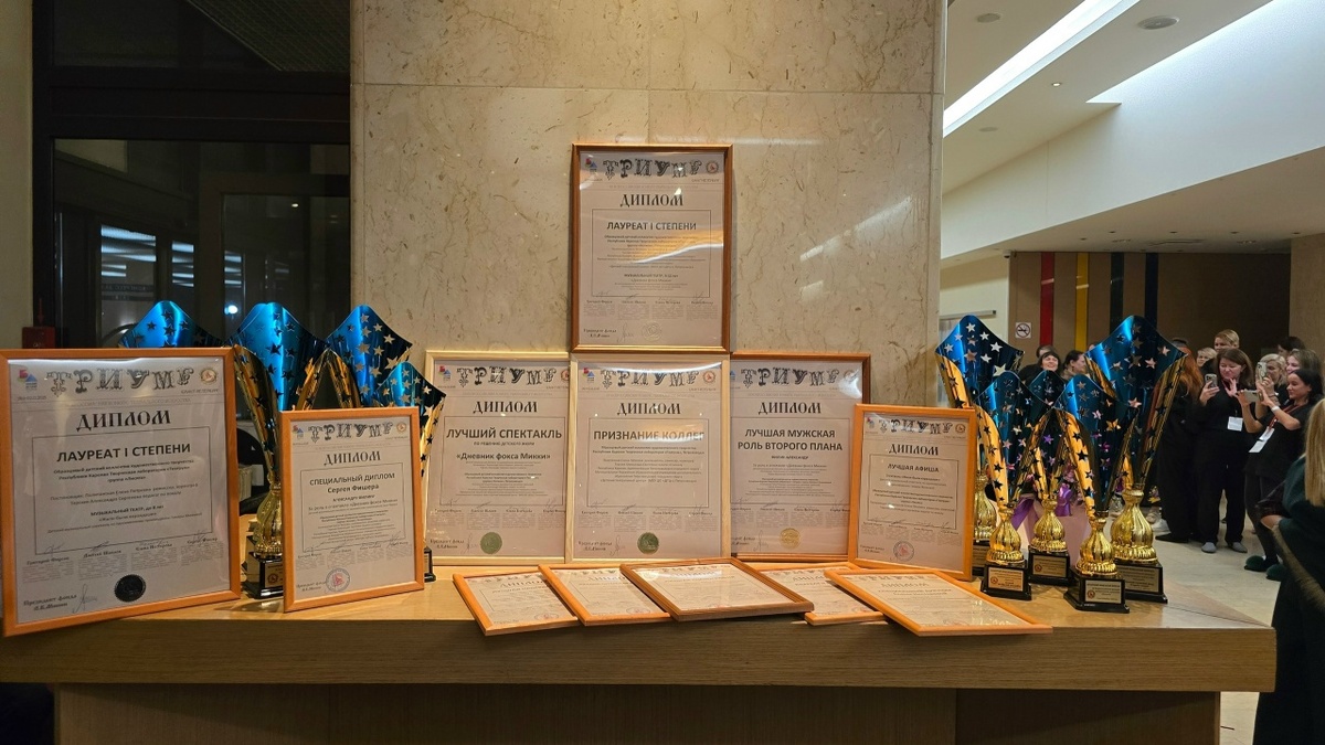    Петрозаводская творческая лаборатория «Театрум» собрала 14 наград на всероссийском конкурсе