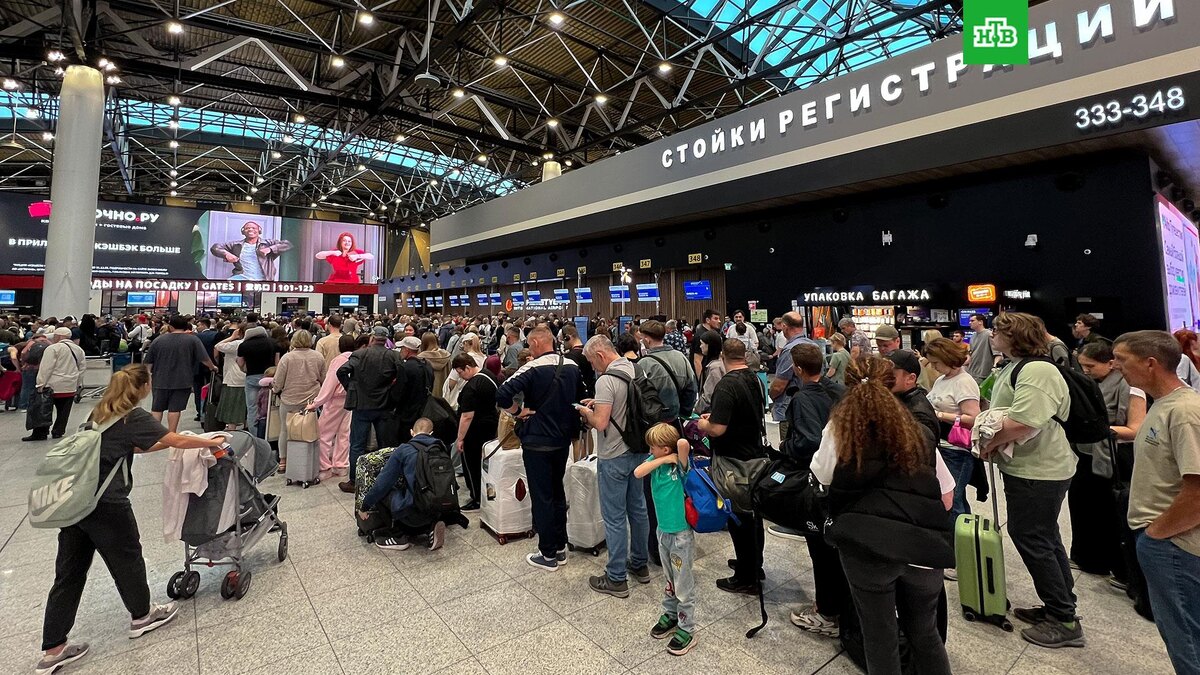    Фото: РИА Новости © 2025, Алексей Филиппов