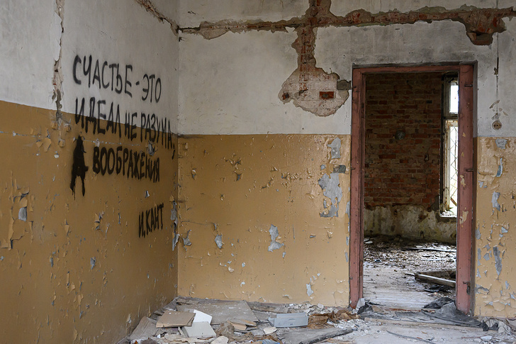     Александр Мелехов/ТАСС