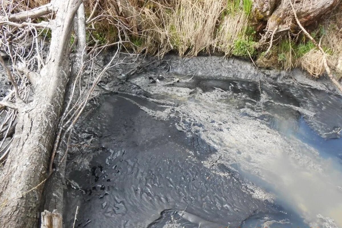    Самарские власти решили засыпать «Вонючий Дунай»