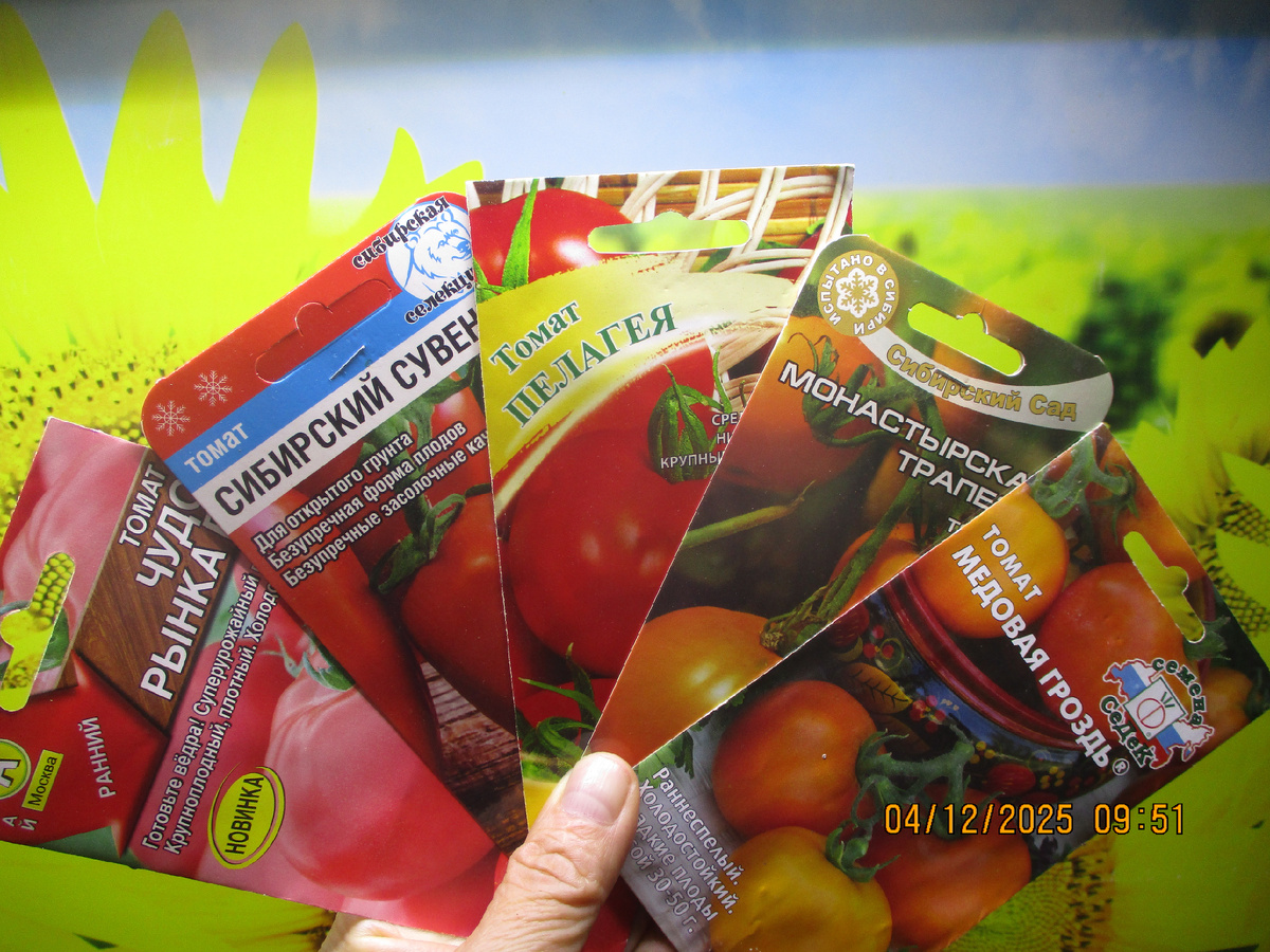 К этой же группе относятся магазинные семена с просроченной датой реализации, купленные в этом году или несколько лет назад.