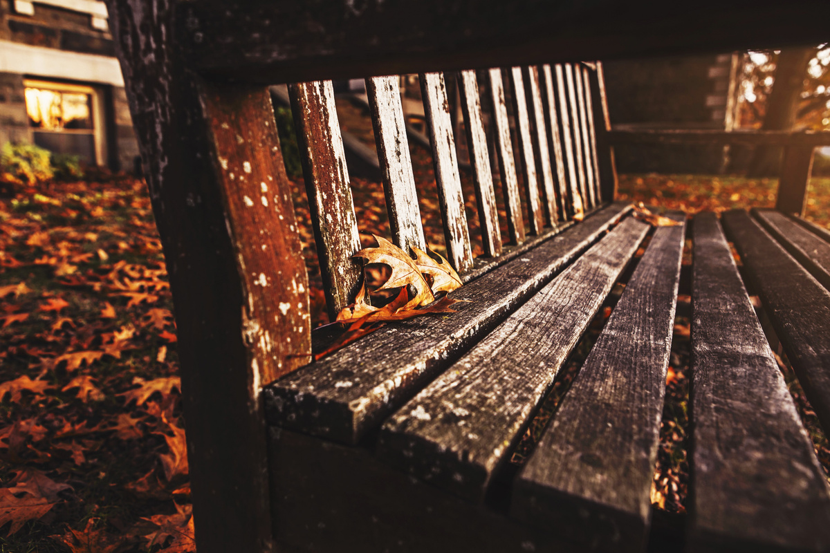 Фото с сайта https://www.rupixel.ru