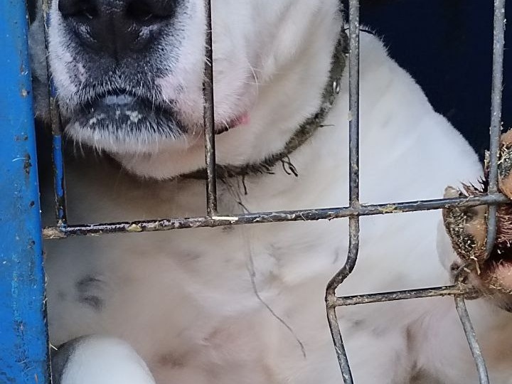 В ПРИЮТ ОЧЕНЬ НУЖНА КРУПА