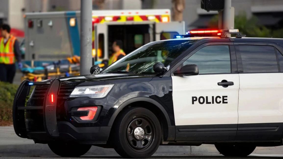    Фото: Matt Gush/Shutterstock/Fotodom