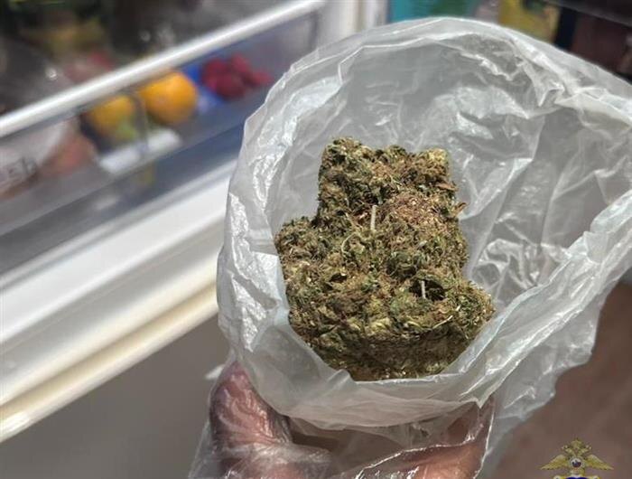    ФОТО: ГУ МВД по Самарской области