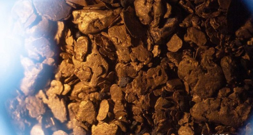    Фото: УФСБ России по Иркутской области