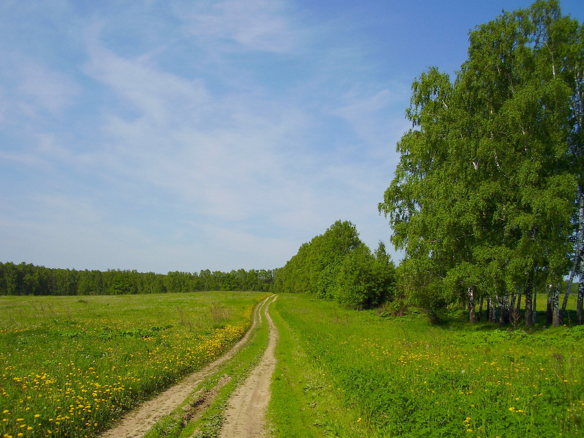 Фото Старого Солдата. Архив.