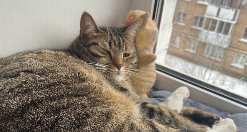    Автор фото - Анна Ефимова