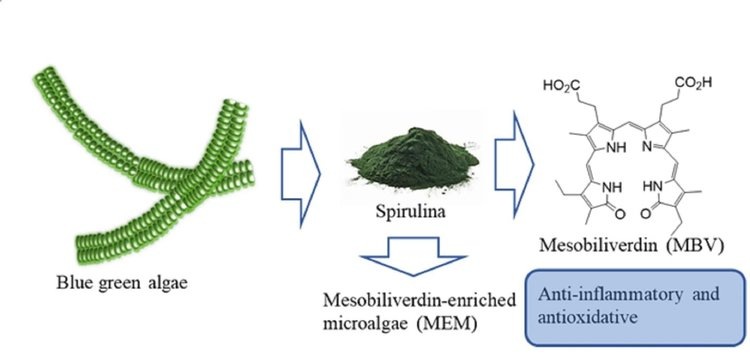    Найден способ производить натуральный антибиотик из спирулины