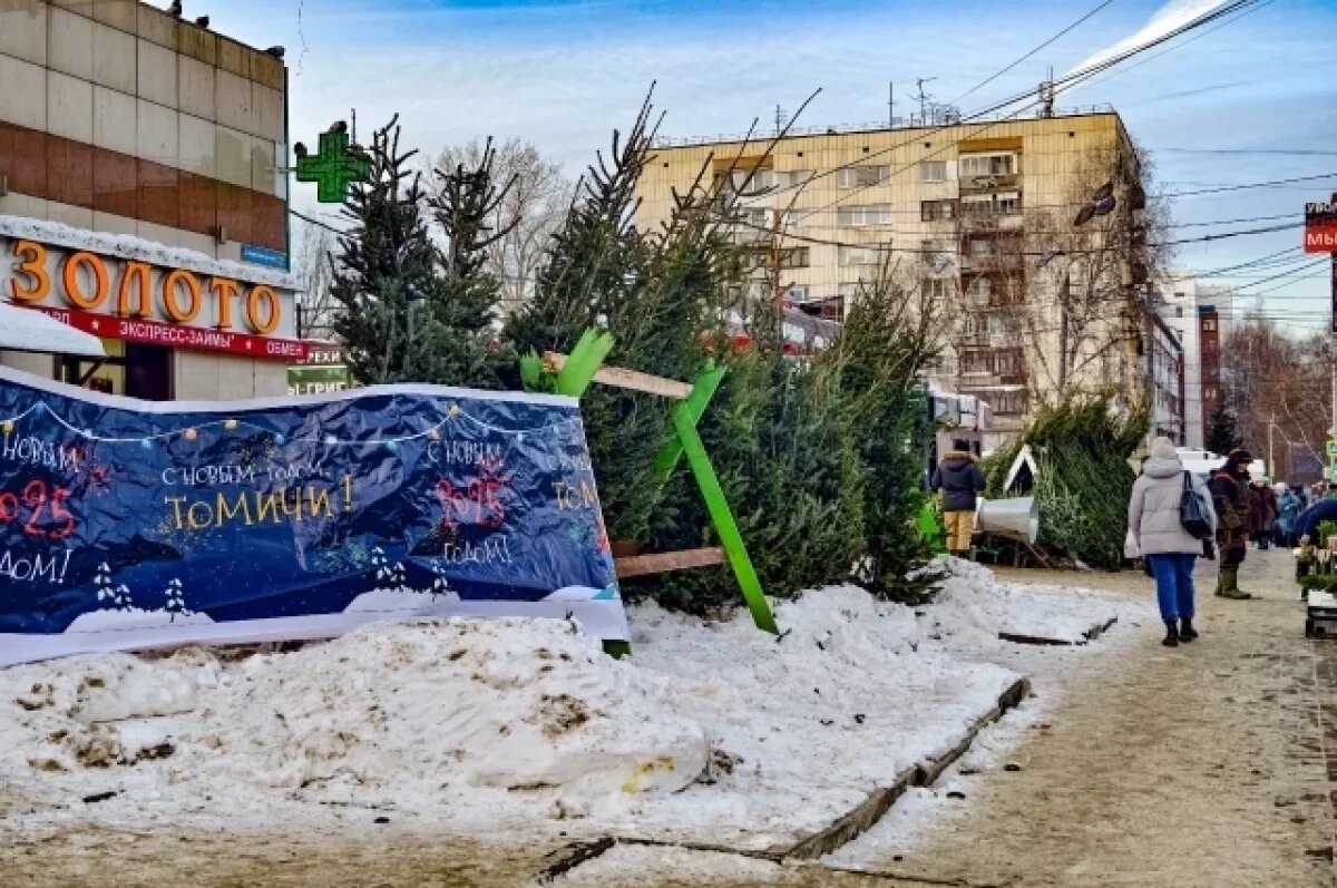   В Томске к Новому году откроются 19 елочных базаров