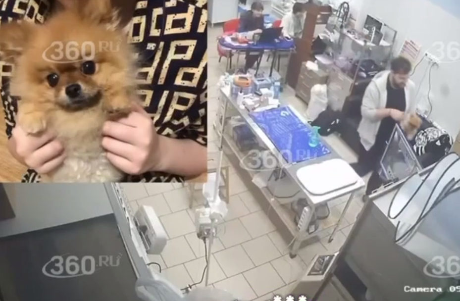 Видео посмотрите и послушайте ниже