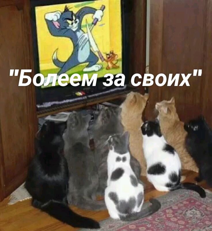 фото из интернета