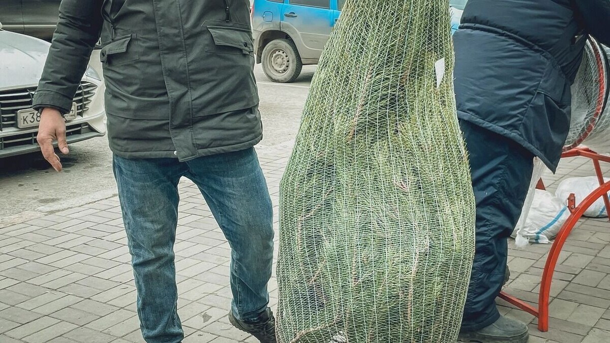     Источник: 1MI