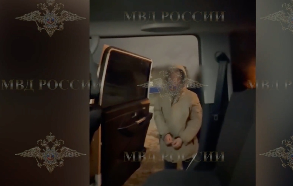 Официальный Telegram-канал представителя МВД России Ирины Волк/ ТАСС