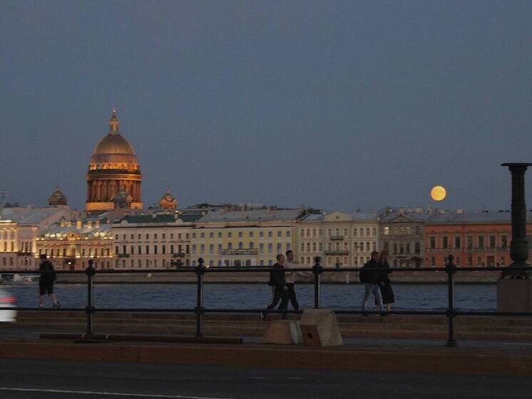     В конце встречи Пальянов предложил президенту снова выбрать желание с новогодней ёлки, чтобы помочь другим людям. Фото из архива "МК в Питере"