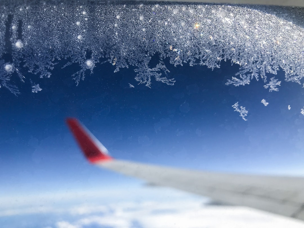    Авиабилеты на Новый год взлетели: как сэкономить и не остаться без праздника?