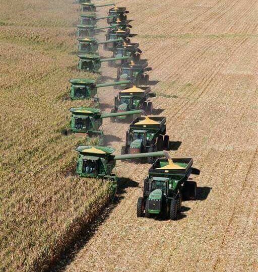 Урожай 2025 года