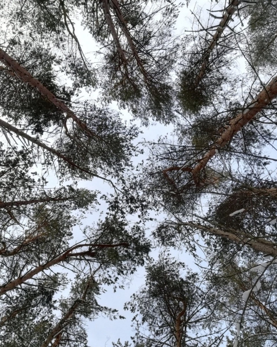 Под ноги смотреть совсем нет желания, там лужи и слякоть... 