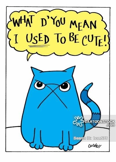 #English_prepositions#Английские_предлоги #used_to_get_used_to_be_used_to