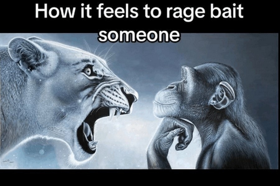 «То чувство, когда забайтил кого-то»
Источник: соцсети