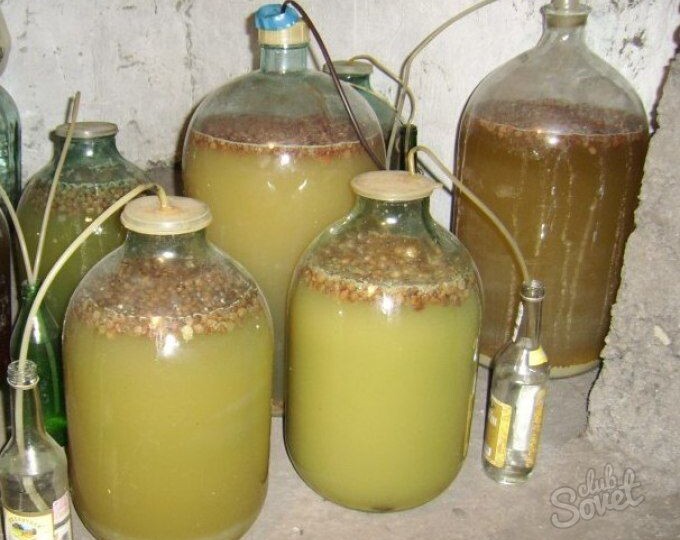 Сырьё для браги: сахар, зерно, фрукты — особенности и вкусовые нюансы.