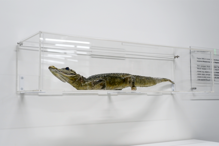    Фото пресс-службы Новосибирского госуниверситета