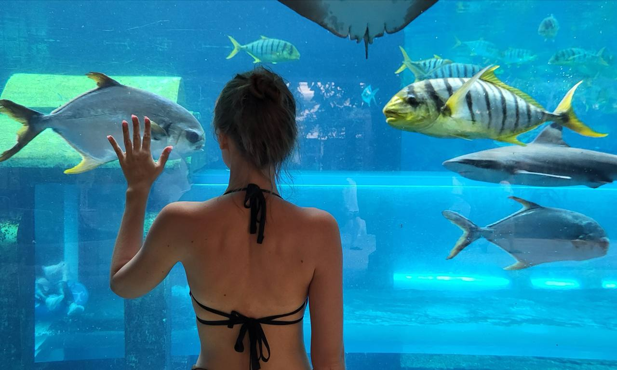 Горка с акулами