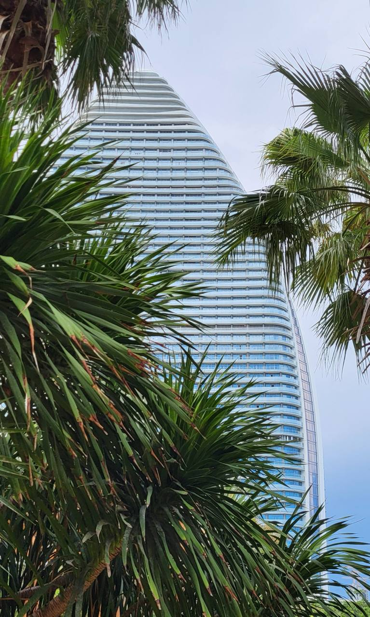 Вид на отель Atlantis 