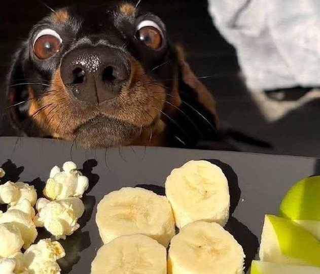 Когда впервые попал на шведский стол