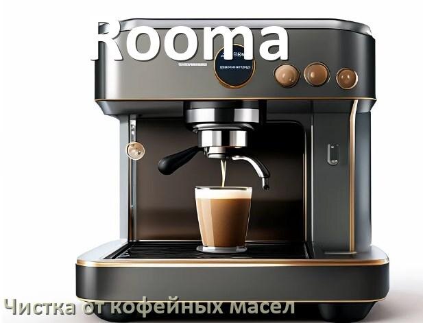
Очистка кофемашины Rooma от кофейных масел