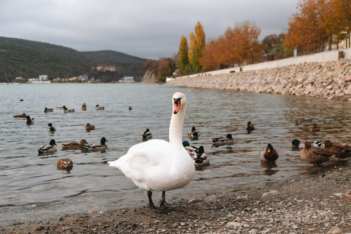Фото: Белавин Андрей