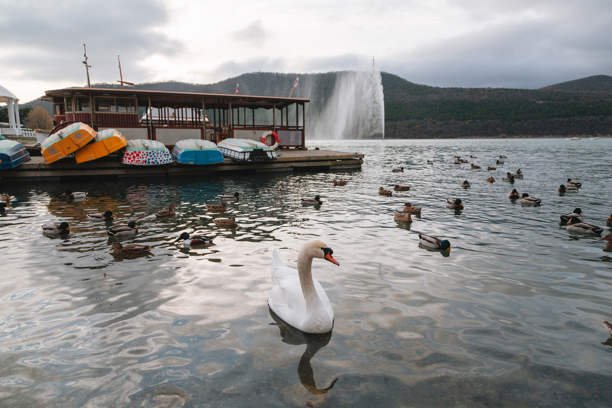 Белавин Андрей