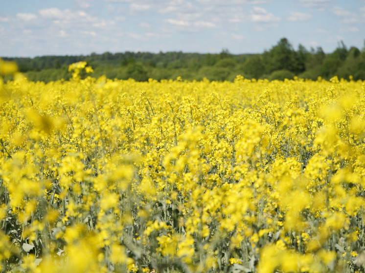     Фото Правительства Ивановской области