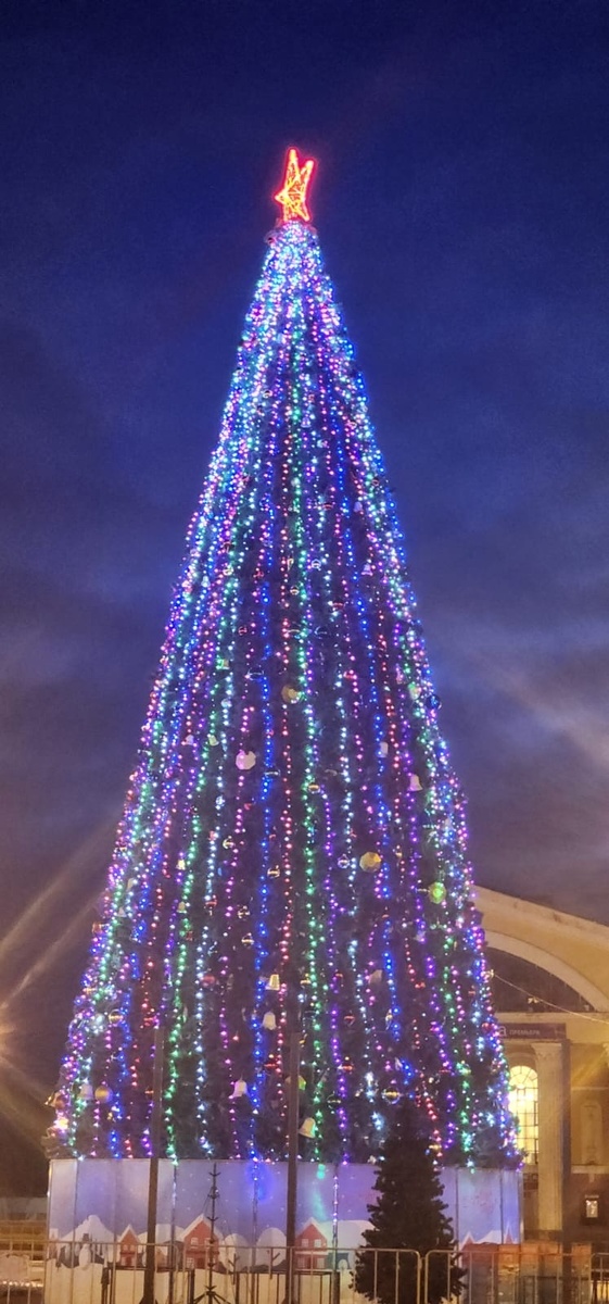    Елку поставили, гирлянду зажгли – так Петрозаводск стартовал в Новый годчитатель "Фактора"