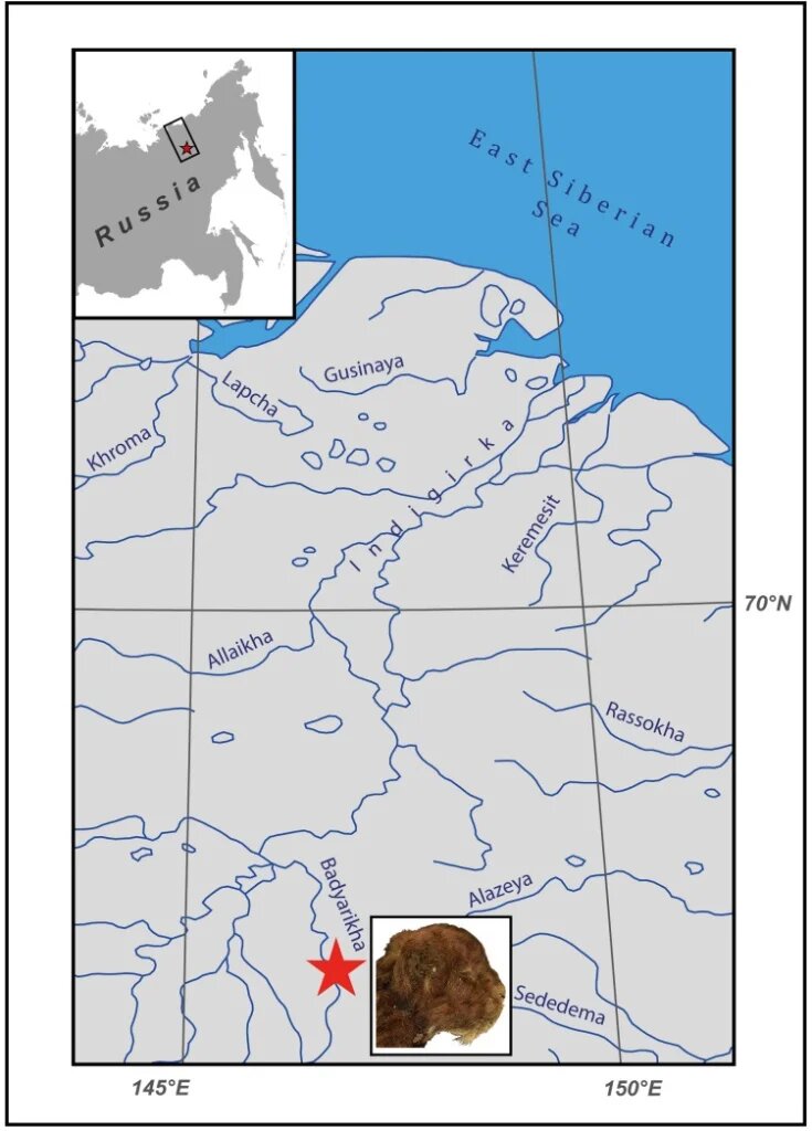 Географическое положение местонахождения Бадярихское, в котором был найден Мэтэн — мумифицированный детеныш гомотерия (Homotherium latidens).Источник: new.ras.ru