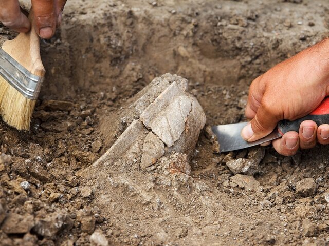    Фото: 123RF.com/maryannfoto