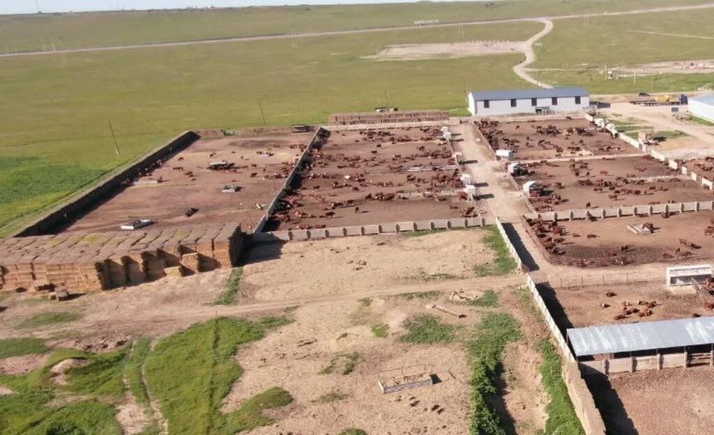    Фото: пресс-служба Россельхознадзора по Ростовской области Диана Огнева