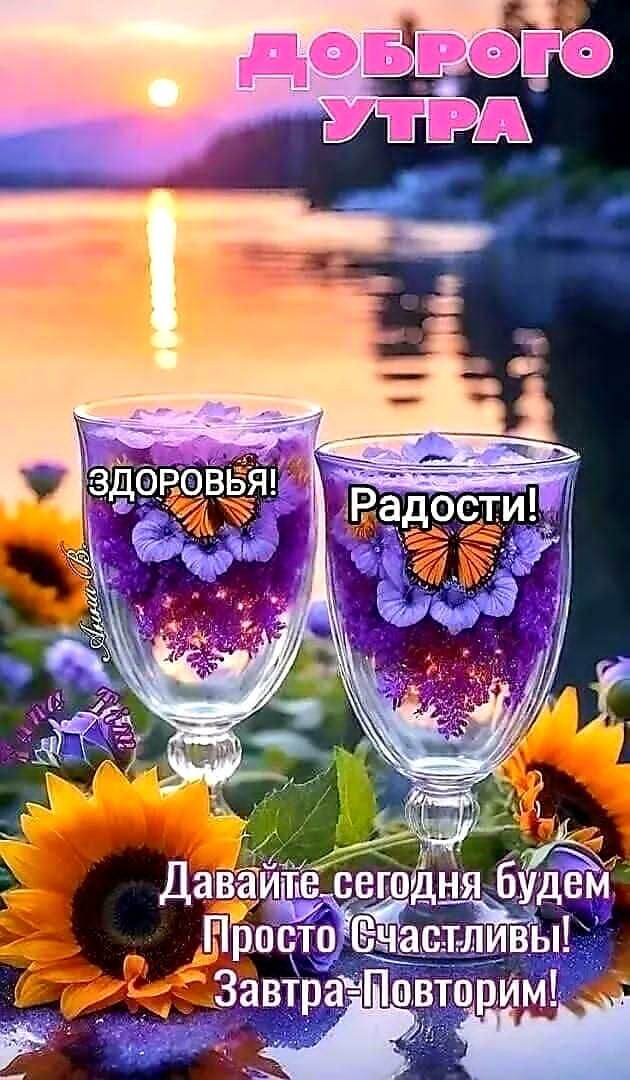 Фото из открытых источников.