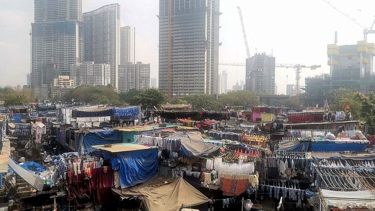    Фото: телеканал «Краснодар»