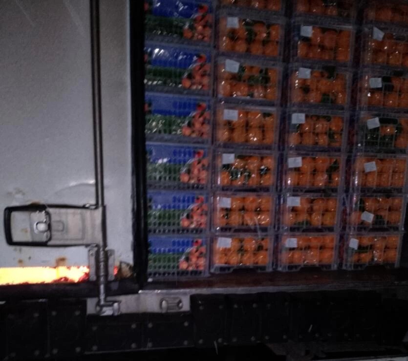 Фото: Уральское межрегиональное управление Россельхознадзора